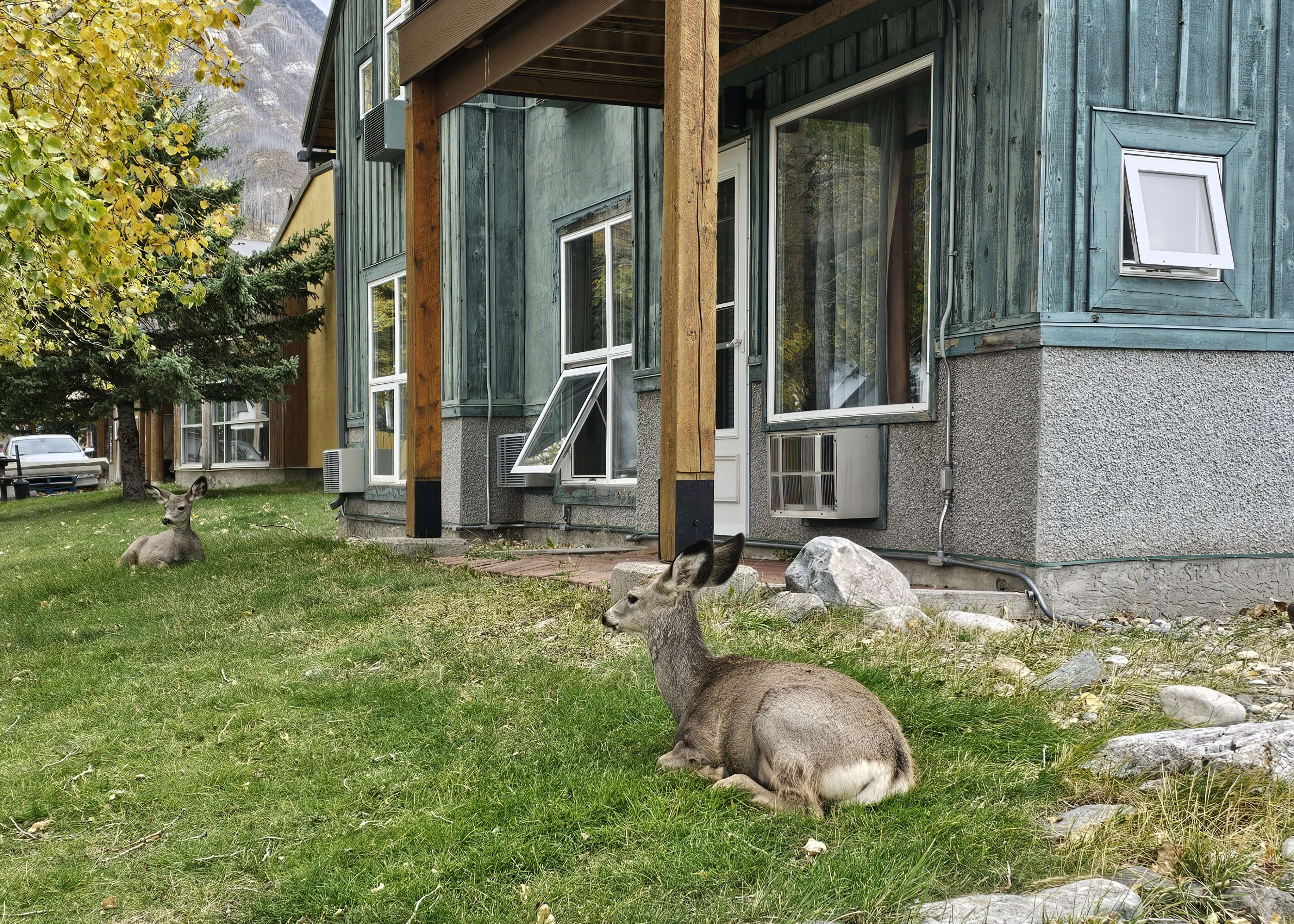 Waterton